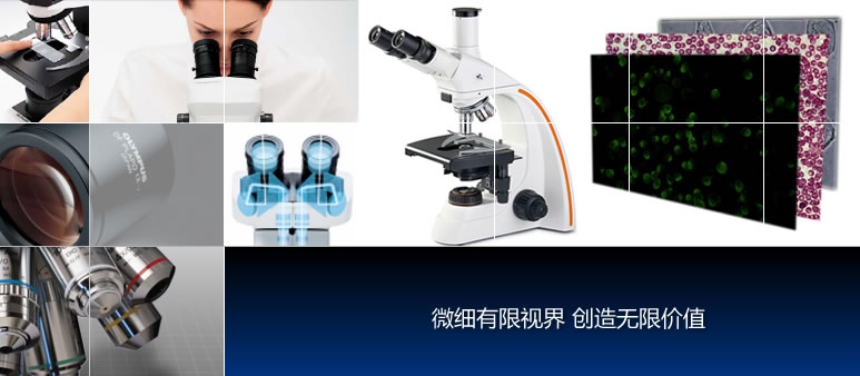 顯微鏡和攝像頭生產(chǎn)廠(chǎng)家