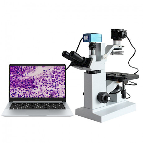 XSB-1A系列倒置式生物顯微鏡